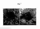 Fig. 08 - Discontinuous Coating Method Using A Bioabsorbable And Bioactive Biomaterial Applied To Solid Substrates, Discontinuous Coating And Use Thereof