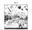 Fig. 13 - Discontinuous Coating Method Using A Bioabsorbable And Bioactive Biomaterial Applied To Solid Substrates, Discontinuous Coating And Use Thereof