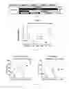 Fig. 03 - FGF-18 IN GRAFT TRANSPLANTATION AND TISSUE ENGINEERING PROCEDURES