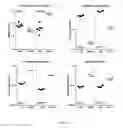 Fig. 05 - FGF-18 IN GRAFT TRANSPLANTATION AND TISSUE ENGINEERING PROCEDURES