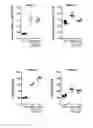 Fig. 06 - FGF-18 IN GRAFT TRANSPLANTATION AND TISSUE ENGINEERING PROCEDURES