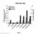 Fig. 06 - LIPOSOME FOR DELIVERING EXTRACELLULAR MATRIX