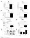 Fig. 19 - Gene therapy