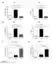 Fig. 20 - Gene therapy