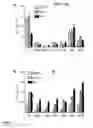 Fig. 22 - Gene therapy
