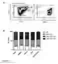 Fig. 25 - Gene therapy