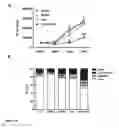 Fig. 26 - Gene therapy