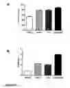 Fig. 31 - Gene therapy