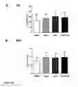Fig. 32 - Gene therapy