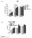 Fig. 33 - Gene therapy