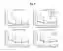 Fig. 07 - Active Agent-Particle Combination Supporting Bone Regeneration