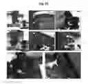 Fig. 08 - Active Agent-Particle Combination Supporting Bone Regeneration