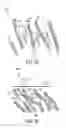 Fig. 10 - Composite adjunct materials for delivering medicants
