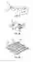 Fig. 12 - Composite adjunct materials for delivering medicants