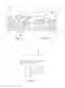Fig. 07 - Adjunct material to provide drug elution from vessels