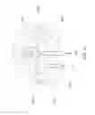 Fig. 53 - Adhesive and peripheral systems and methods for medical devices