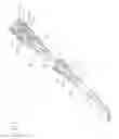Fig. 07 - Positive displacement flush syringe