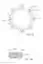 Fig. 16 - Catheter devices and methods for making them