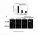 Fig. 17 - Antifouling urinary catheters with shape-memory topographic patterns