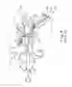 Fig. 05 - Dilation catheter with expandable stop element