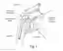 Fig. 02 - Systems and methods for treating shoulder pain related to subacromial impingement syndrome