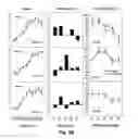 Fig. 04 - Patient specific frequency modulation adaption
