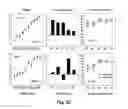 Fig. 05 - Patient specific frequency modulation adaption