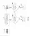Fig. 09 - Unwanted stimulation detection during cardiac pacing