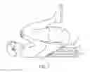 Fig. 08 - Exercise and sitting apparatus and method