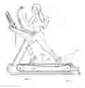 Fig. 01 - Treadmill with suspended tread belt