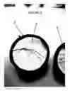 Fig. 07 - Play ball with foam filling