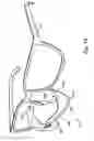 Fig. 12 - Sports training apparatus and method