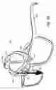 Fig. 16 - Sports training apparatus and method
