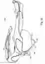 Fig. 19 - Sports training apparatus and method