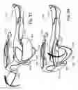 Fig. 20 - Sports training apparatus and method