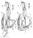 Fig. 21 - Sports training apparatus and method