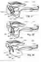 Fig. 22 - Sports training apparatus and method
