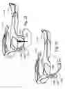 Fig. 24 - Sports training apparatus and method