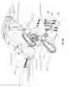 Fig. 37 - Mobilized cooler device with fork hanger assembly