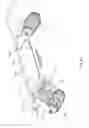 Fig. 41 - Mobilized cooler device with fork hanger assembly