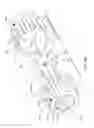 Fig. 68 - Mobilized cooler device with fork hanger assembly