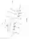 Fig. 95 - Mobilized cooler device with fork hanger assembly