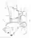 Fig. 04 - Walking animal toy apparatus and methods of making and using the same