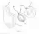 Fig. 11 - Walking animal toy apparatus and methods of making and using the same