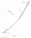 Fig. 12 - Walking animal toy apparatus and methods of making and using the same