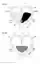 Fig. 04 - Accessory preparation toy