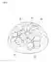 Fig. 06 - Accessory preparation toy