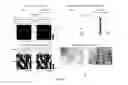 Fig. 04 - MULTILAYER COATINGS AND METHODS OF MAKING AND USING THEREOF