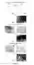 Fig. 09 - MULTILAYER COATINGS AND METHODS OF MAKING AND USING THEREOF