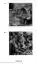 Fig. 08 - Device, system, and method for producing advanced oxidation products